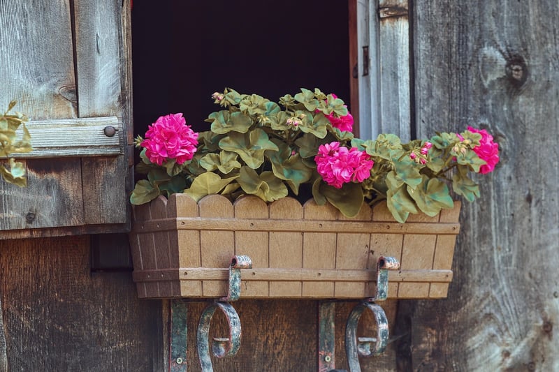 Herb pots on a windowsill