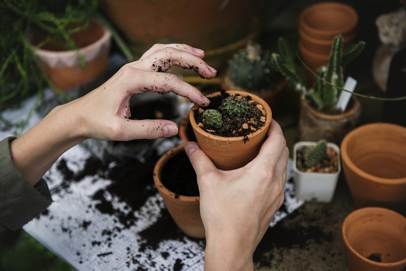 Collaborative Gardening Space
