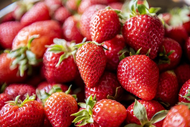 Strawberry Plants